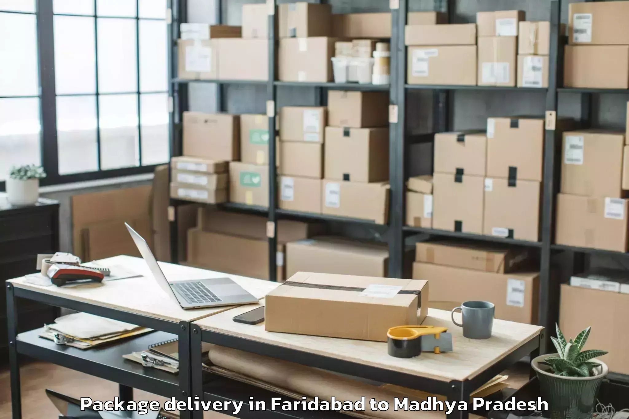 Quality Faridabad to Rewa Airport Rew Package Delivery